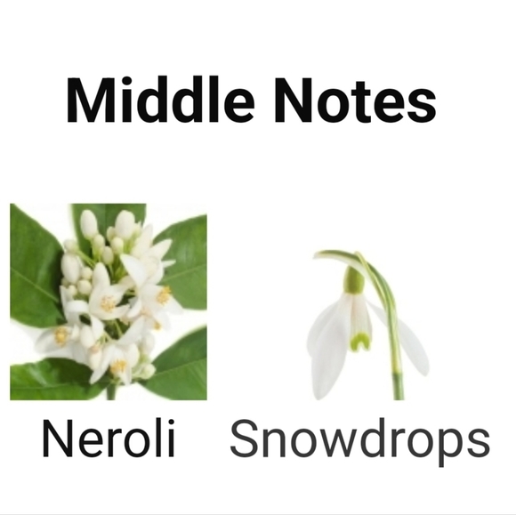 Jo Malone - Picture 5 of 6